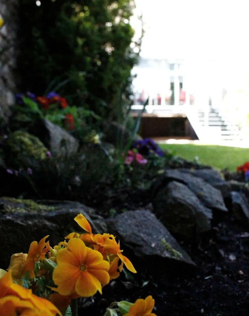 Culane House Hotel - B&B Édimbourg